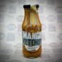 Hausgemachtes Mango Ketchup 250ml