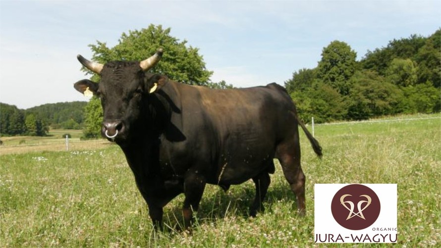 Herkunftsgarantie, Regionalität und absolute Transparenz!